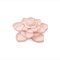 We R Memory Keepers STORAGE - BLOOM Embellishment Storage PINK 660339 by American Crafts
